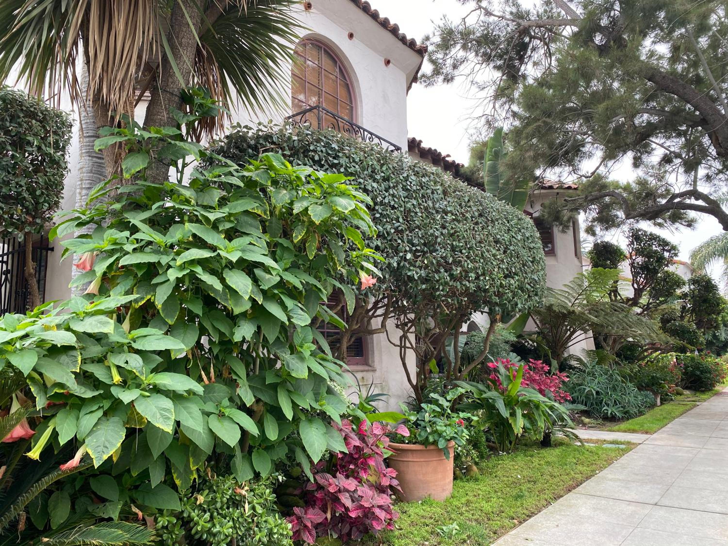 Villa Rosa Inn